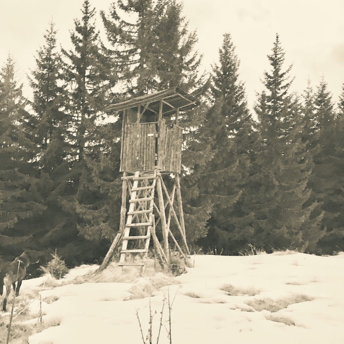 Waffen Gruber, Haus der Jagd in 8850 Murau
