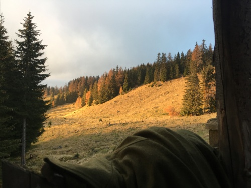 Waffen Gruber, Haus der Jagd in 8850 Murau